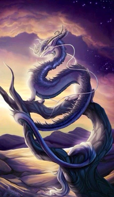 Dragon Oriental Blanc Noir