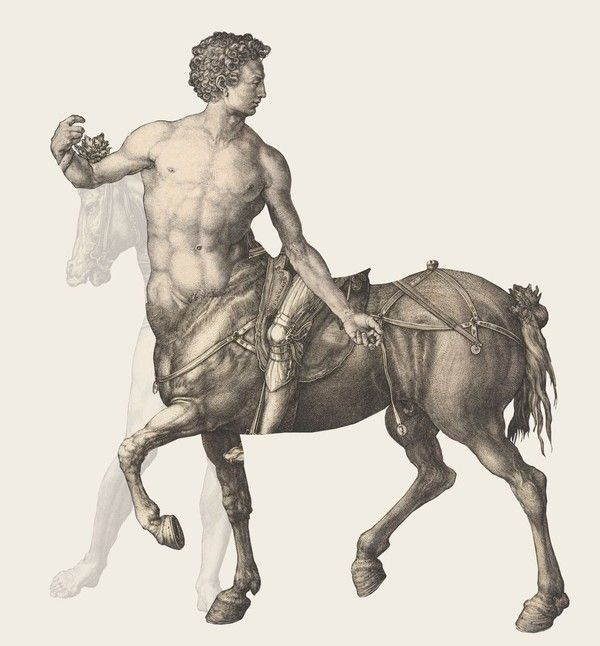 Centaure Style Gravure Ancienne