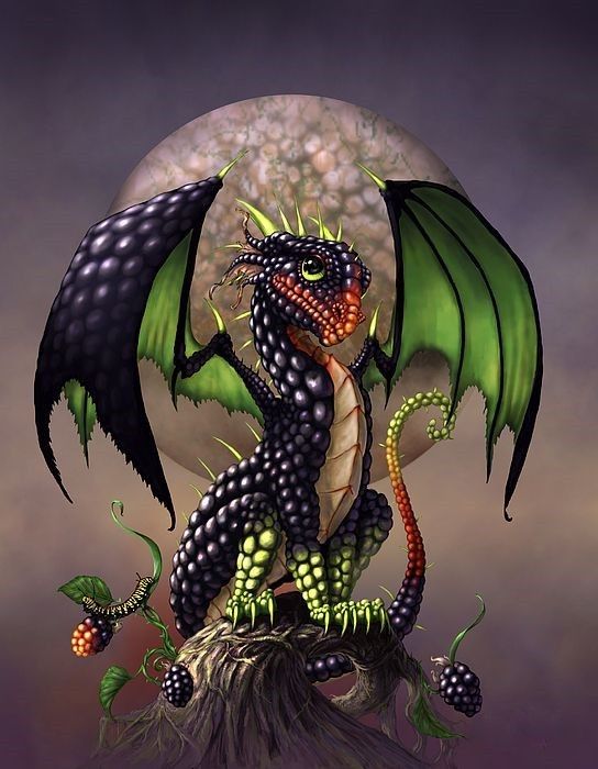Dragon De La Mûre